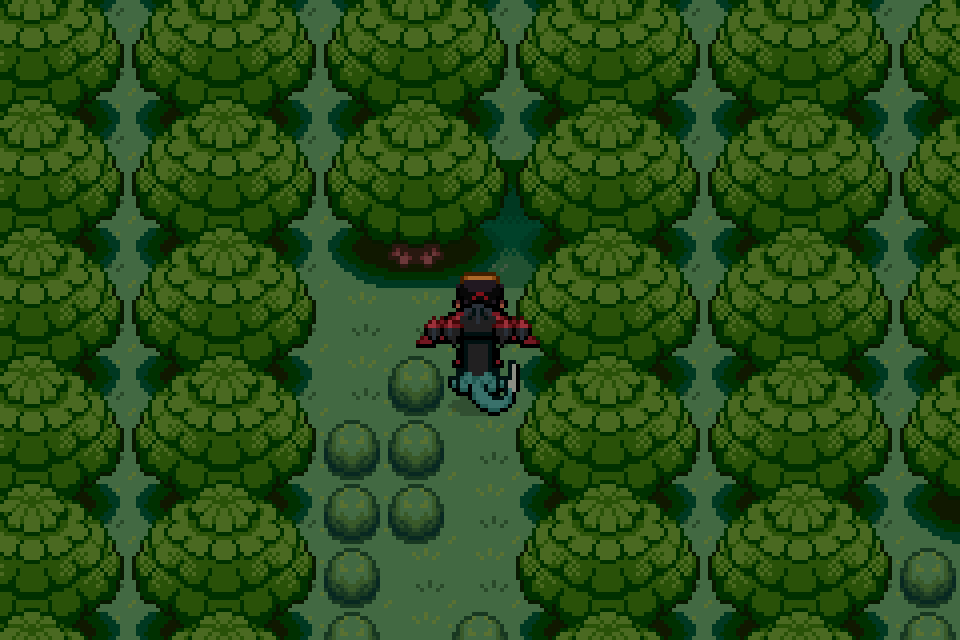 Ilex Forest Hidden Grotto entrance
